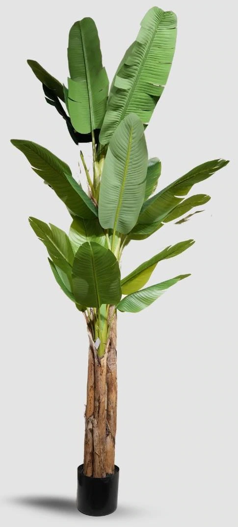 Banana Tree x24Lvs 3 Trunk PE Leaves And Wooden Trunk 280cm